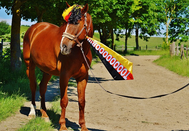 传奇喝彩 传奇喝彩