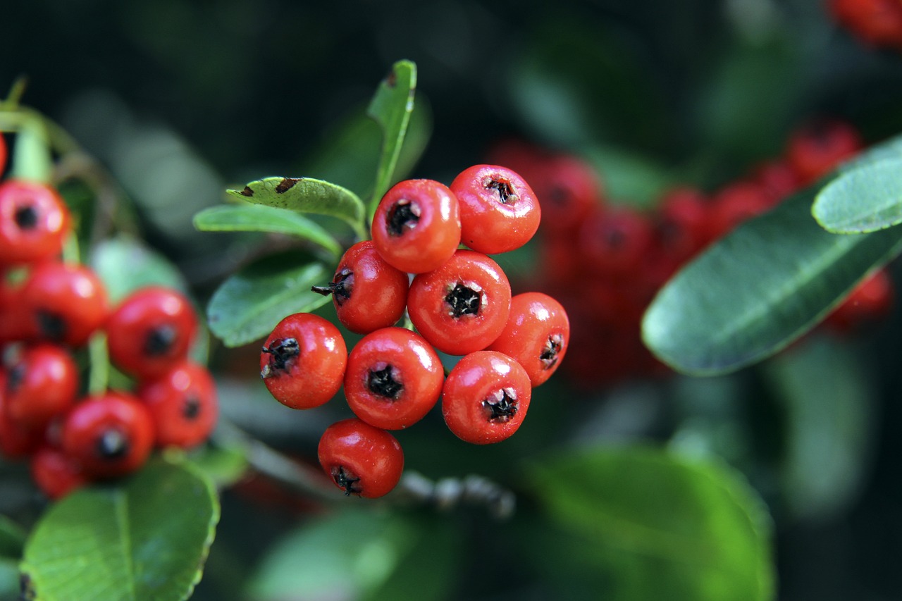 提供定制化 提供定制化