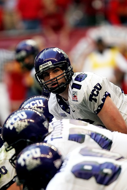 联盟中的佼 联盟中的佼