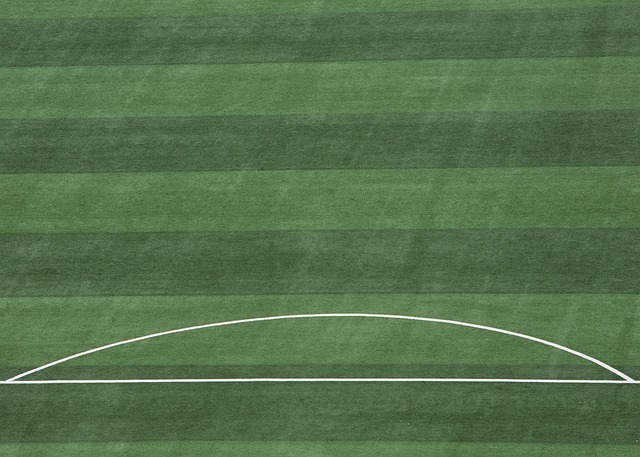 决策成本往 决策成本往