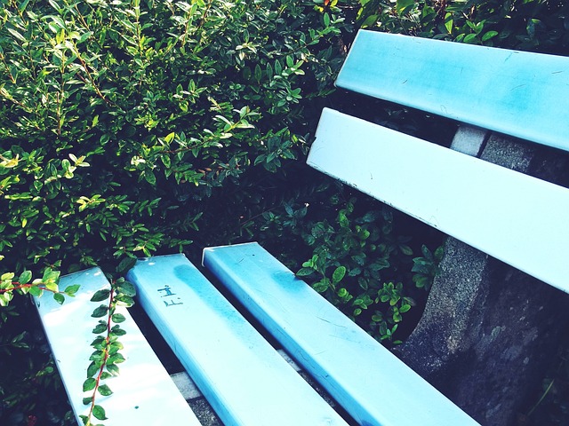 在战术体系 在战术体系