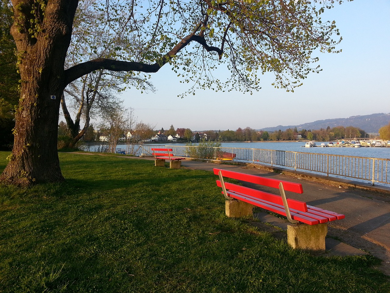 在考慮馬夏 在考慮馬夏