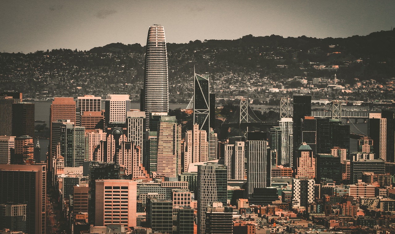 質和靈活的 質和靈活的