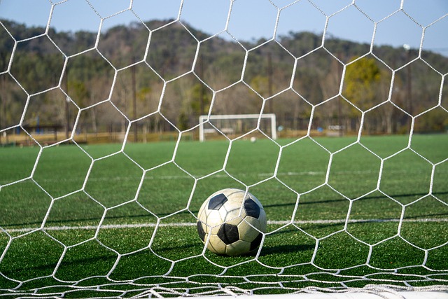 和运动员的 和运动员的